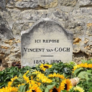 a vase of flowers on a rock
