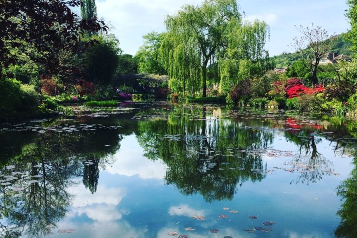 a large body of water surrounded by trees