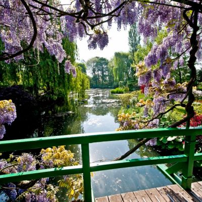 a wooden bench in a garden